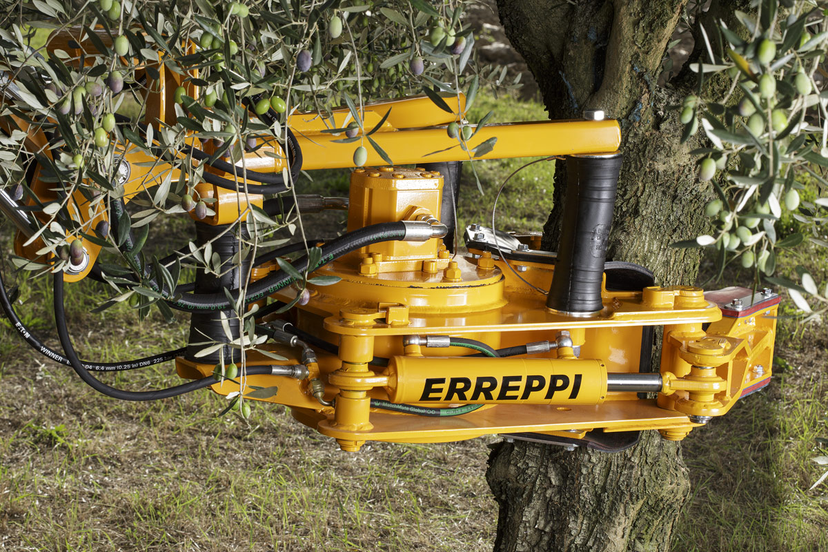 MAGA | Sistema di raccolta meccanizzata per olive, mandorle e frutti pendenti